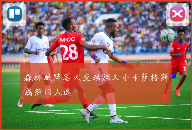 森林狼阵容大变动欧文小卡萨格斯成热门人选