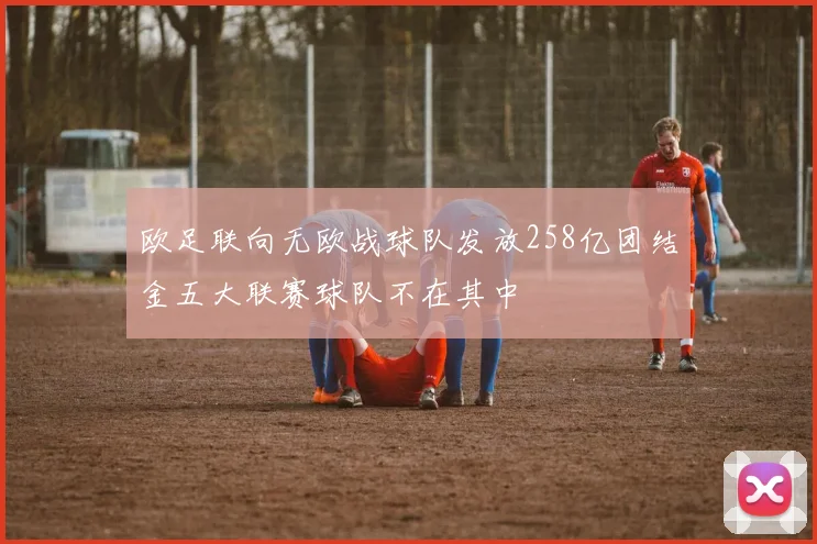欧足联向无欧战球队发放258亿团结金五大联赛球队不在其中